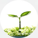 长园茶油