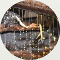 长园茶油