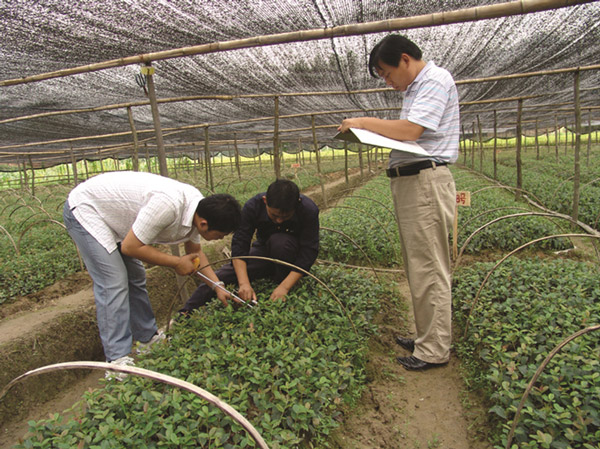 长园油茶培育检测