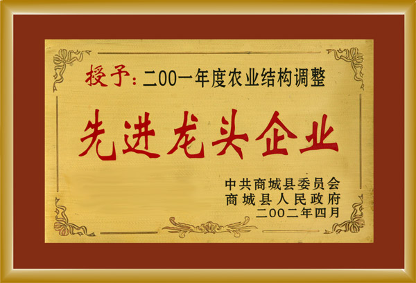 2001年度农业结构调整《先进龙头企业》称号