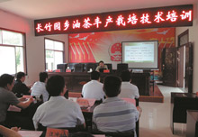 油茶丰产栽培技术培训讲座