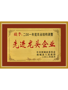 2001年度农业结构调整《先进龙头企业》称号